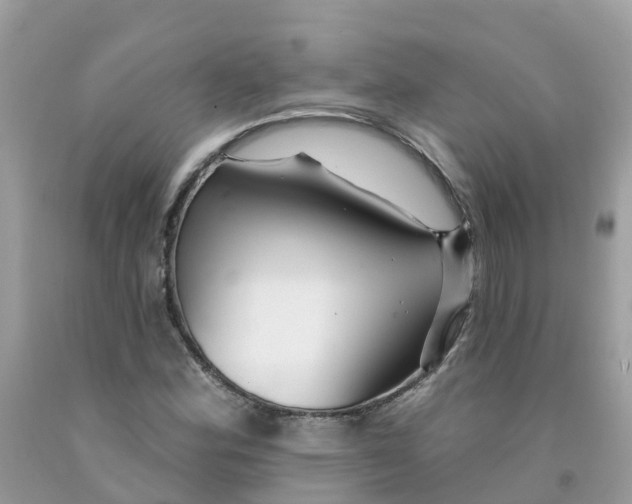 X0000091091164200709041256