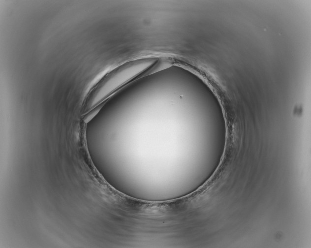 X0000091091165200709041256