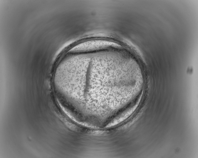 X0000091091166200709041256