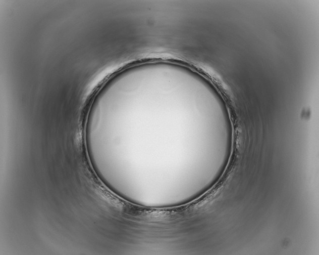 X0000091091167200709041256