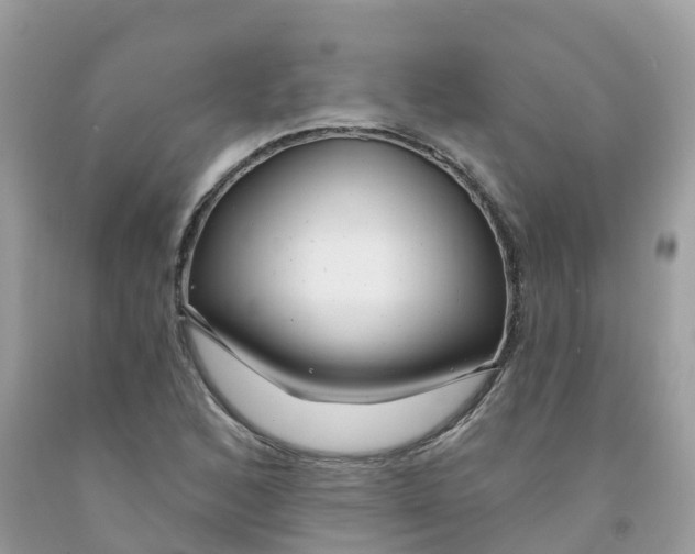 X0000091091168200709041256