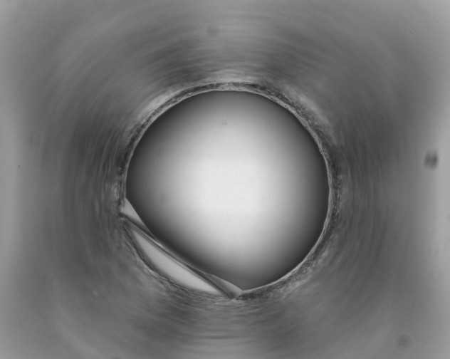 X0000091091169200709041256