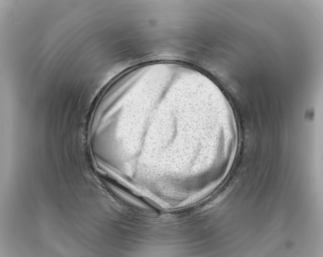 X0000091091170200709041256