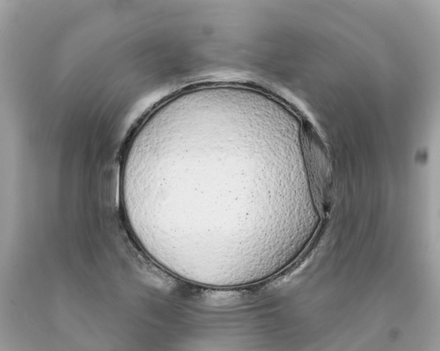 X0000091091171200709041256