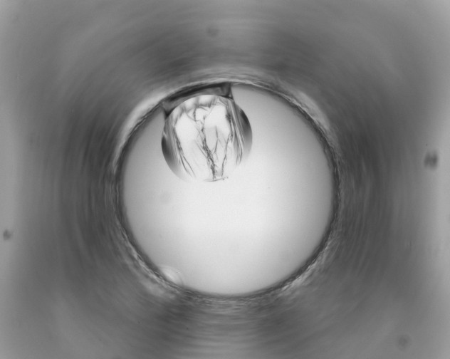 X0000091091172200709041256