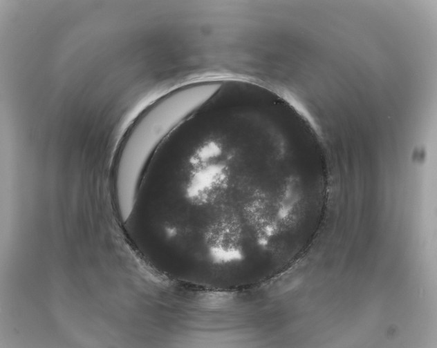 X0000091091173200709041256