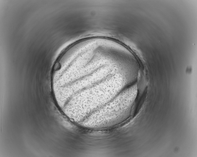 X0000091091174200709041256