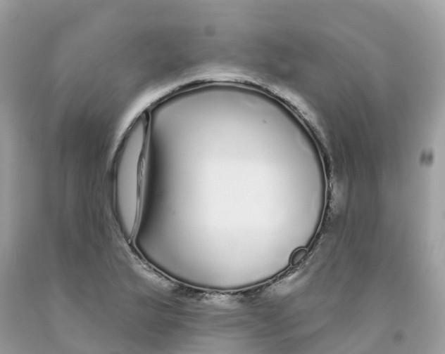 X0000091091175200709041256