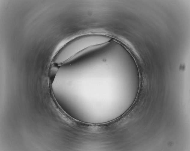 X0000091091176200709041256