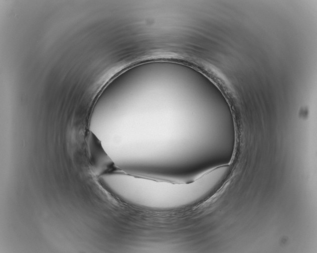 X0000091091177200709041256