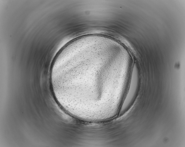 X0000091091178200709041256