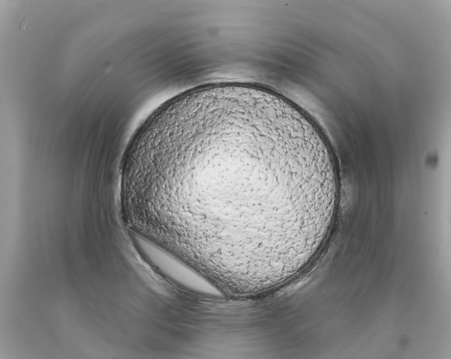 X0000091091179200709041256