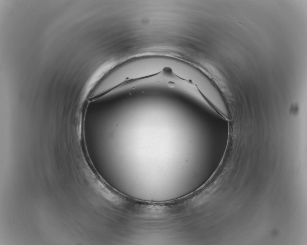 X0000091091180200709041256