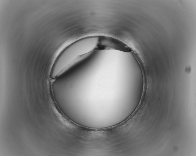 X0000091091181200709041256