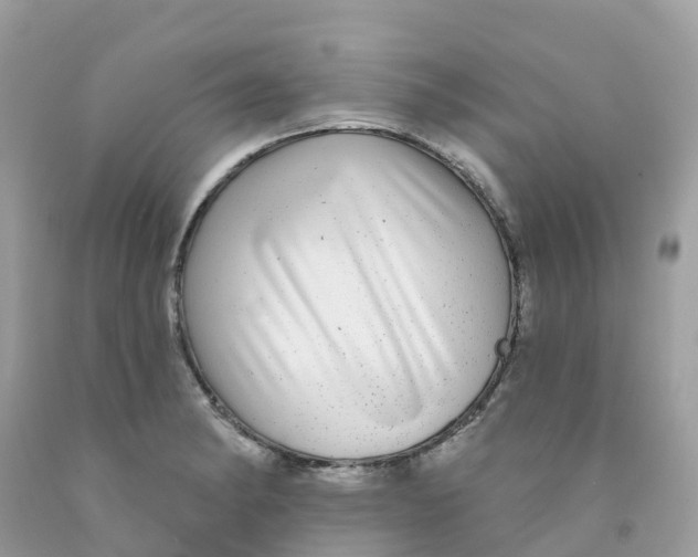 X0000091091182200709041256