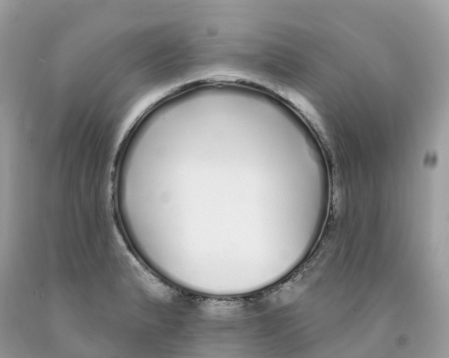 X0000091091183200709041256