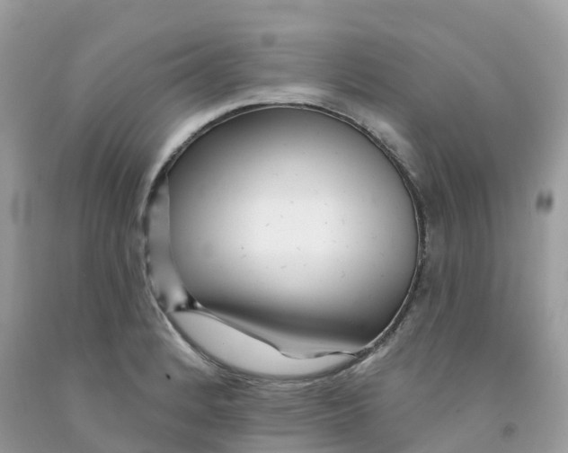 X0000091091184200709041256