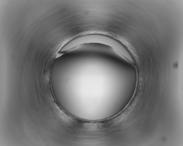 X0000091091185200709041256