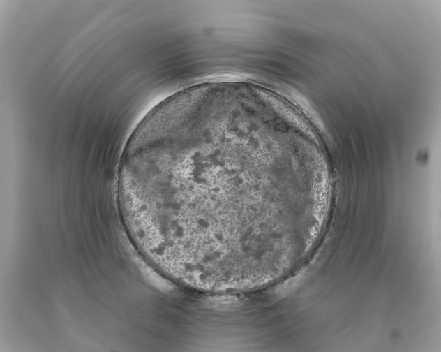 X0000091091186200709041256