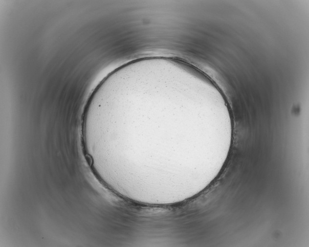 X0000091091187200709041256