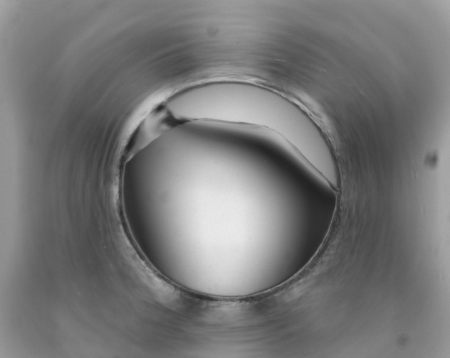 X0000091091188200709041256