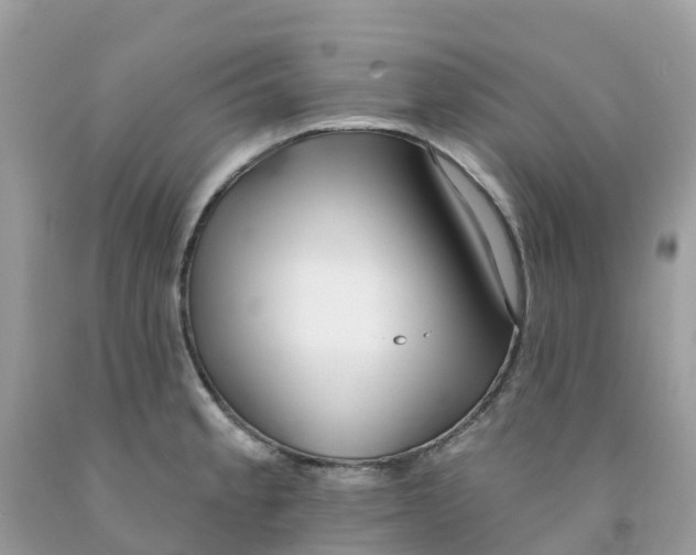 X0000091091189200709041256