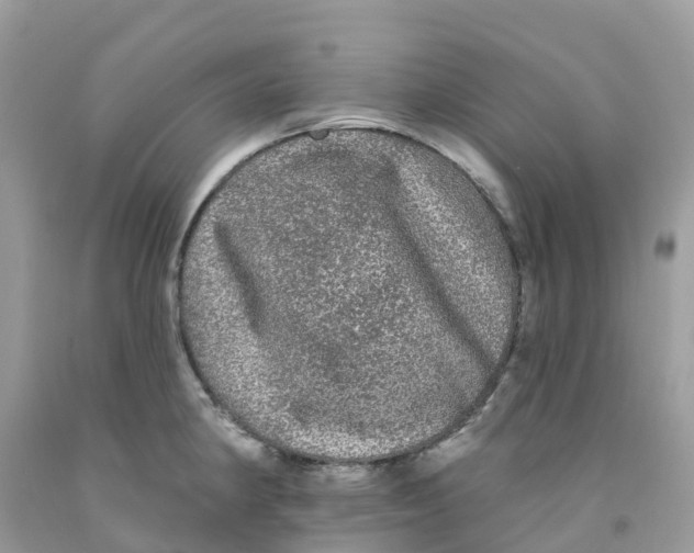 X0000091091190200709041256