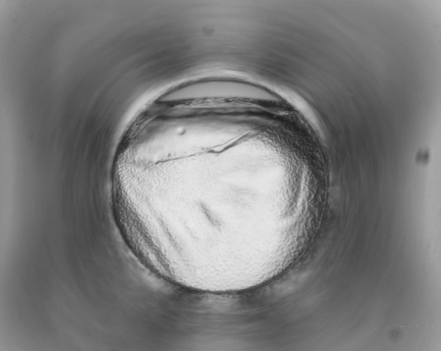 X0000091091191200709041256