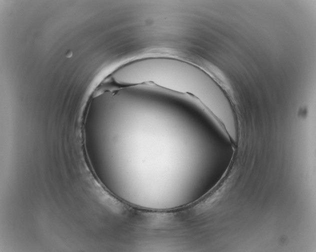 X0000091091192200709041256