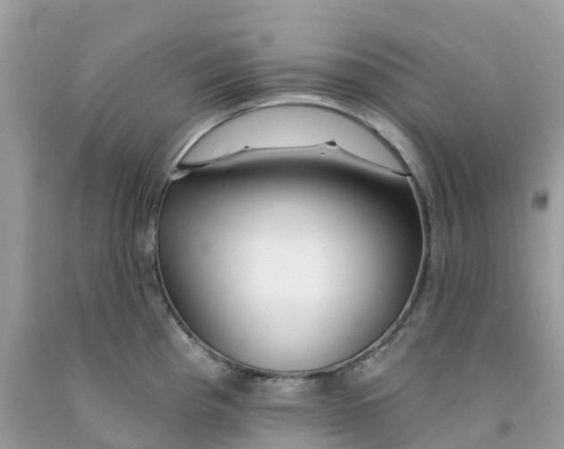 X0000091091193200709041256