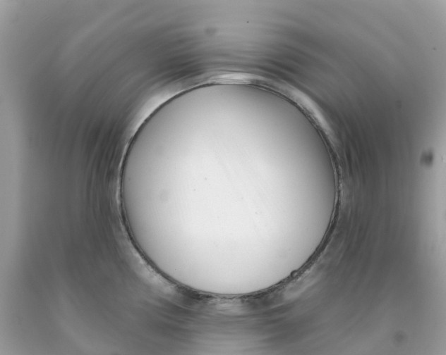 X0000091091194200709041256