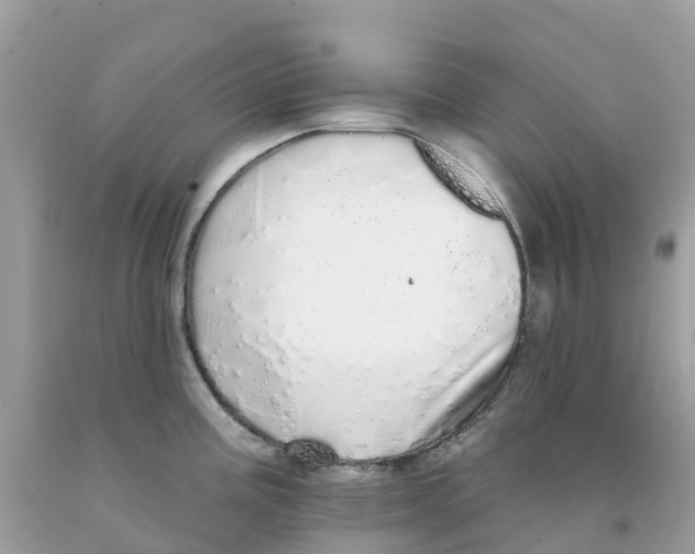 X0000091091195200709041256