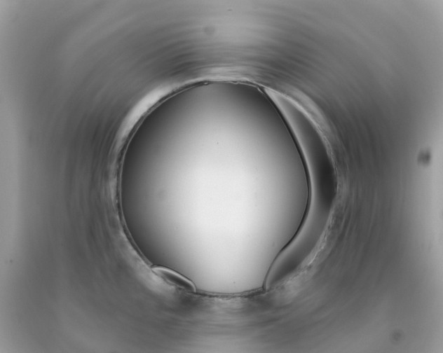 X0000091091196200709041256