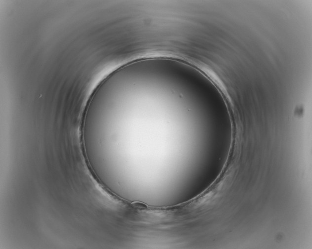 X0000091091197200709041256