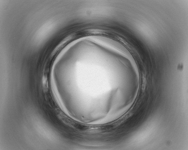 X0000091091198200709041256