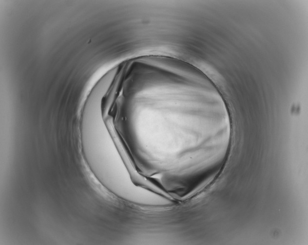 X0000091091200200709041256