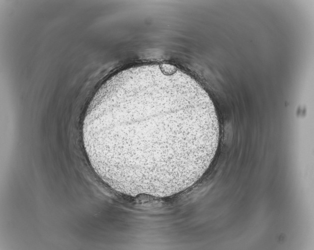 X0000091091201200709041255