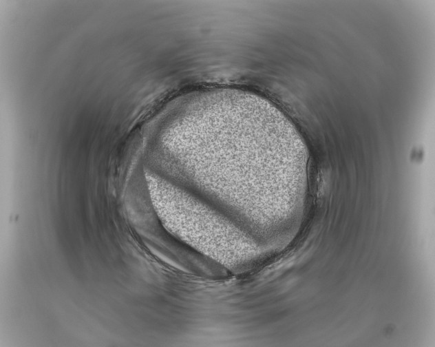 X0000091091202200709041255