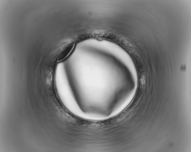 X0000091091204200709041255