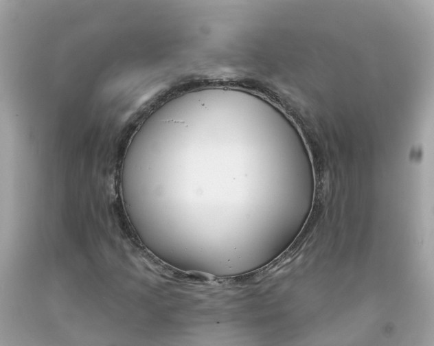 X0000091091205200709041255