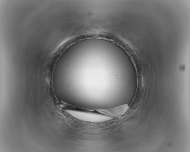 X0000091091206200709041255