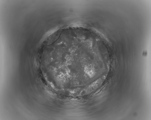 X0000091091207200709041255