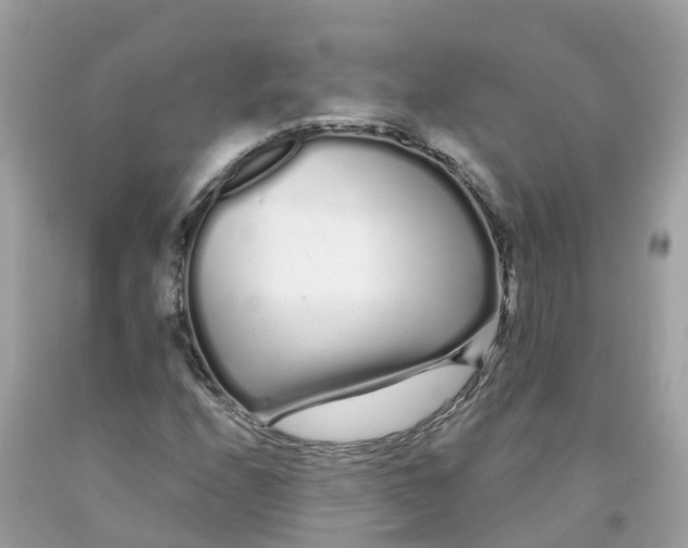 X0000091091208200709041255