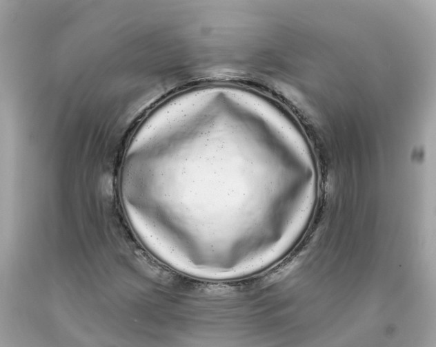 X0000091091209200709041255