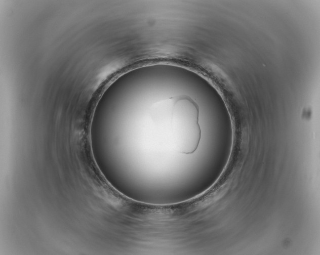 X0000091091210200709041255