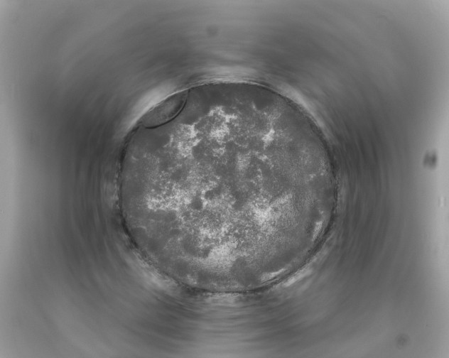 X0000091091211200709041255