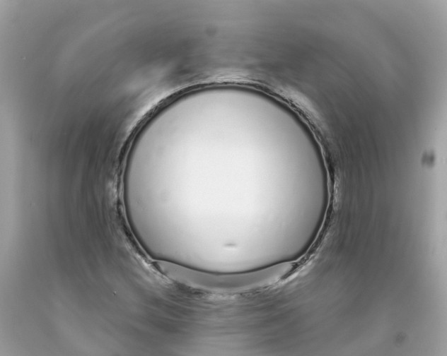 X0000091091212200709041255