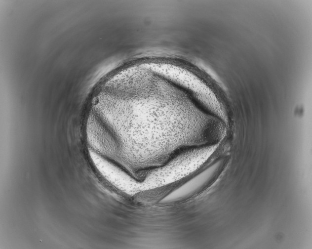 X0000091091213200709041255