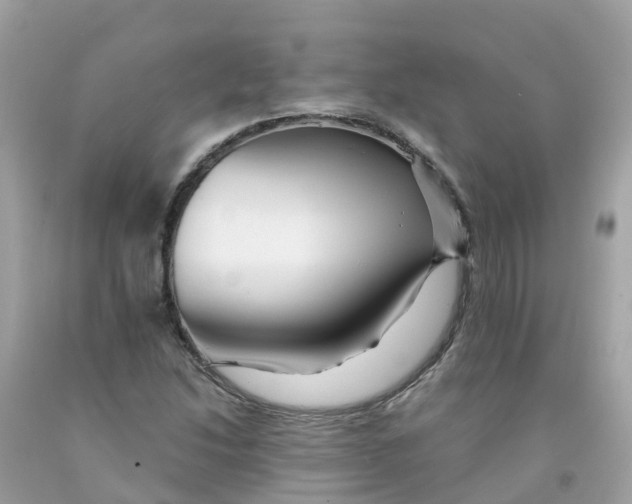 X0000091091214200709041255