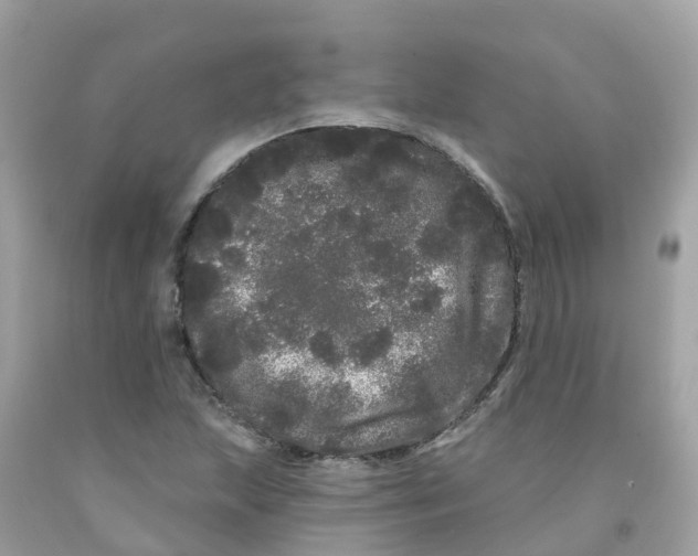 X0000091091215200709041255